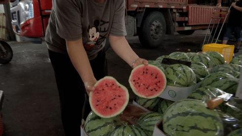 浙江江山市吃瓜事件视频,真相与争议交织