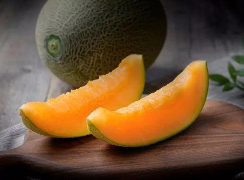 法斗吃哈密瓜视频完整版,哈密瓜盛宴萌态十足