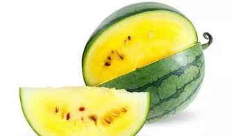 寒瓜怎么吃最健康视频,揭秘最健康食用方法