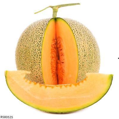 蝴蝶可以吃哈密瓜嘛视频,揭秘哈密瓜与蝴蝶的奇妙关系