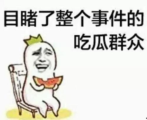 吃瓜群众九分钟视频,吃瓜群众视角下的热门事件深度剖析