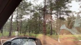 小盆友吃瓜视频下载大全,趣味瞬间一网打尽