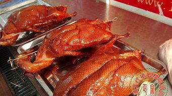 苦儿瓜烧鸭子可以吃吗视频,揭秘家常美食的烹饪秘诀