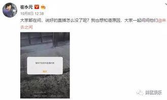 小崔吃瓜视频完整版下载,一场视觉盛宴的下载攻略