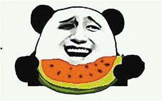 吃瓜老板科普视频大全