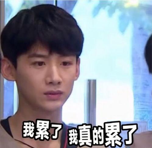 吃瓜的视频沙雕,笑料百出，欢乐无限